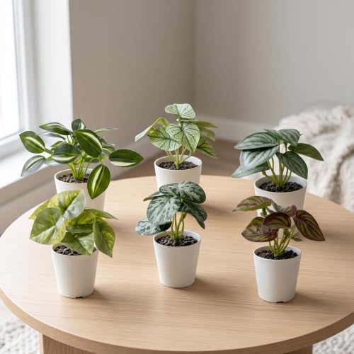 Dekorly Artificial Potted Plants, Artificial Plastic Eucalyptus Plants Small Indoor Potted Houseplants, Small Faux Plants for Home Decor Bathroom Office Farmhouse (Set 0F 8)|B0BCKLM33P