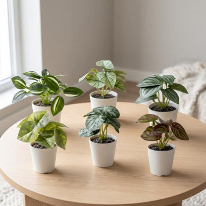 Dekorly Artificial Potted Plants, Artificial Plastic Eucalyptus Plants Small Indoor Potted Houseplants, Small Faux Plants for Home Decor Bathroom Office Farmhouse (Set 0F 8)|B0BCKLM33P